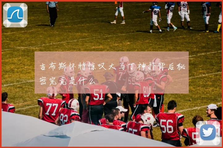 吉布斯怀特惊叹大马丁神扑背后秘密究竟是什么