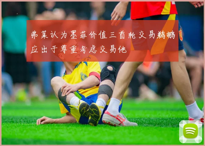 弗莱认为墨菲价值三首轮交易鹈鹕应出于尊重考虑交易他